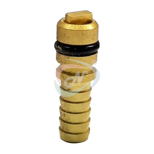 CO2 INLET NRV BRASS