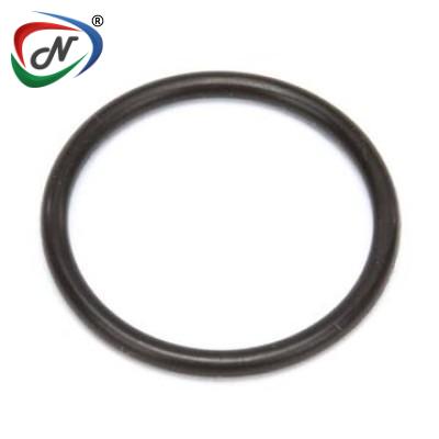  31525037 O-RING NOZZLE QUEST ELITE (QE)