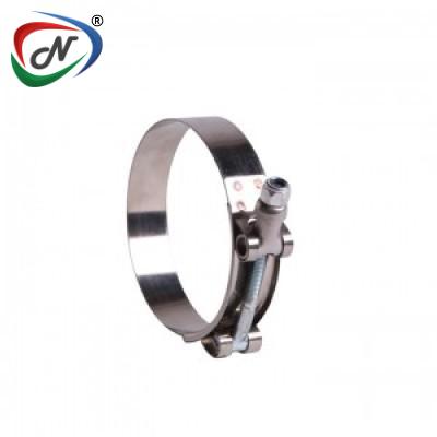  19mm Bandwidth Stainless Steel T Bolt Type Pipe Clamp