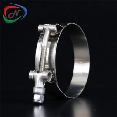 19mm Bandwidth Stainless Steel T Bolt Silicon Pipe Type Pipe Clamp